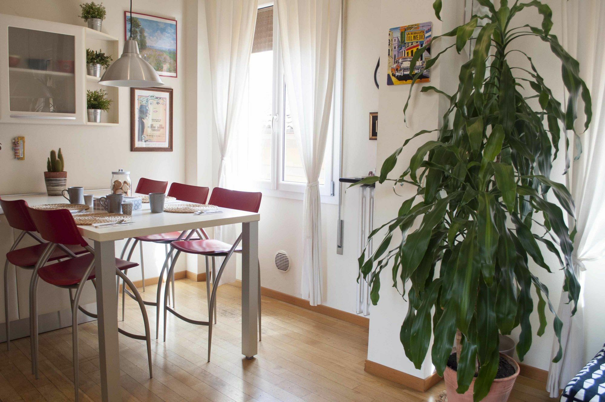 San Domenico Apartment Bologna Buitenkant foto